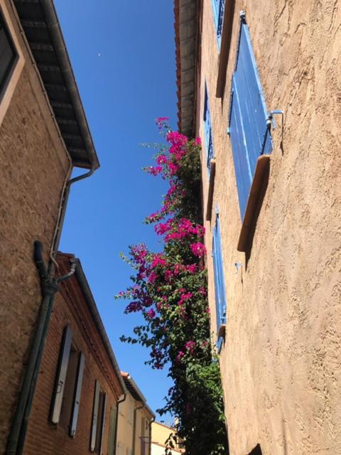 66B - Beautiful Flat 800M From The Sea With Private Parking Appartement Collioure Buitenkant foto