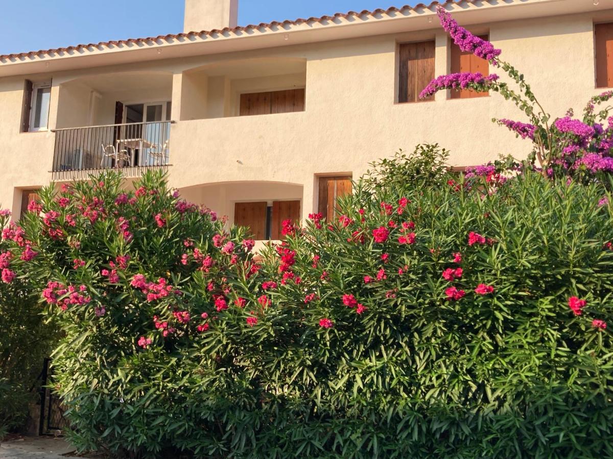 66B - Beautiful Flat 800M From The Sea With Private Parking Appartement Collioure Buitenkant foto