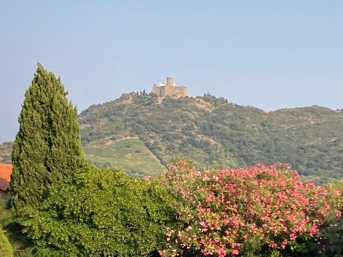 66B - Beautiful Flat 800M From The Sea With Private Parking Appartement Collioure Buitenkant foto