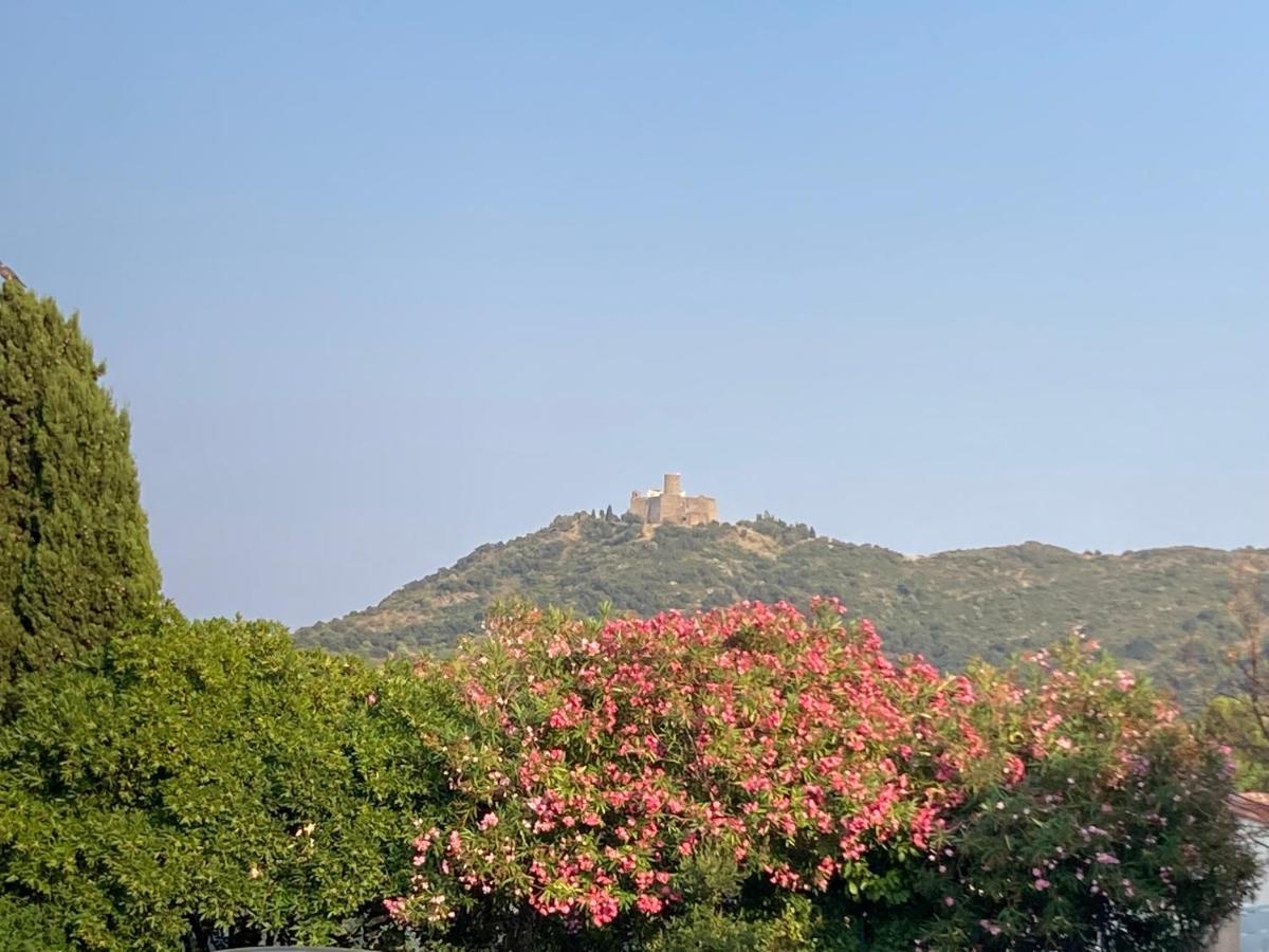 66B - Beautiful Flat 800M From The Sea With Private Parking Appartement Collioure Buitenkant foto